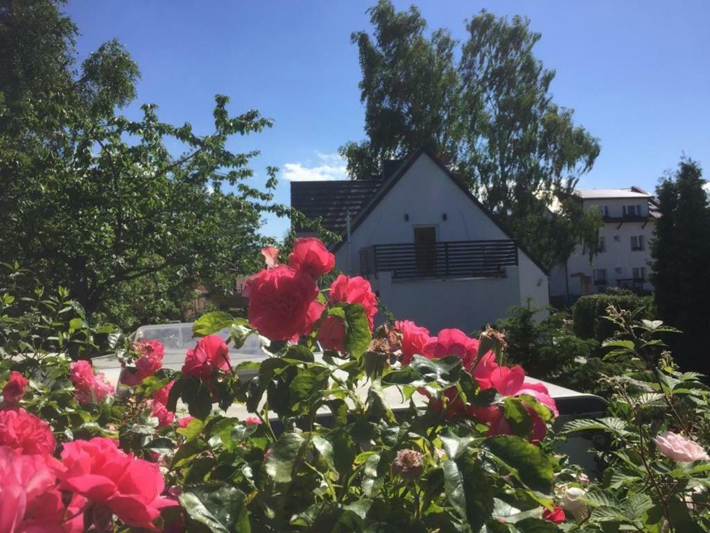 Jagodowy Dwor Apartment Jastarnia Bagian luar foto